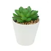 Fleurs décoratives mini plantes succulentes ensembles de 5 petits faux en pot dans un pot gris clair