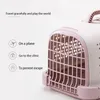 Carrier per gatti per piccole razze cani trasporto per animali domestici vettore di box semplice con smontaggio semplice cane gattino ventilazione traino