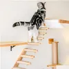 猫の家具スクラッダー1PCウォールに取り付けられたハンモックベッドペット子猫壁棚セットは、木製のスクラッチクライミングポストツリーハウスをDHFF3に