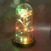 Gold Eternal Rose LED Galaxy Enchanted Foil Flower With Fairy String Lights In Dome For Christmas Valentine's Day Gift 0920