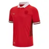 2023/24 New Wales Jersey National Team Jerseys Cymru Sever Version World Cup Polo T-shirt 22 23 Top Welsh Rugby Training Jesery