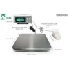 Exakt och pålitlig Piza 12 Bench Food Scale - NSF Certified for Precision Cooking and Baking - 12 lb kapacitet med 0,002 kg steg