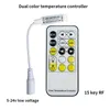 Mini 15 nycklar Dimmer Controller Two Wire RF Remote för enfärgad neonrör och COB 2835 5050 5730 LED-strip Light DC5-24V