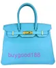 Aabirdkin Delicate Luxury Designer Totes Bag 30 Du Nord Blue Epsom Leather Gold Hardware Women's Handbag Crossbody Bag