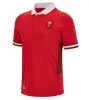 2023/24 New Wales Jersey National Team Jerseys Cymru Sever Version World Cup Polo T-shirt 22 23 Top Welsh Rugby Training Jesery