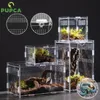 Transparent akryl reptil terrarium avelbox sköldpadda bur nano arboreal tarantula kapsling Dearded Dragon Accessories 240506