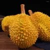 Tazze finte frutta decorativa decorativa durian showcase proporzioni di adornatura simulata modellistica