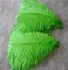 Ganze 100 PCs 1618inch Lime Green Strostrich Feder Federn Federn für Hochzeit Kernstück Party Event Dekor Festive Dekor7101449