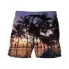 Mäns shorts 2024 Tropics Hawaii Beach Men Summer Board Casual Holiday Swim Trunks 3D Print Y2K Surf Swimsuit Homme Short Pants