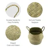 Plates Natural Seagrass Belly Basket 31Cm Collapsible Handmade Plant Pot Planter Weave Tote With Handle For Storage Laundry Hom