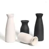 Wazony nordycki prosty biały czarny matowy ręcznie robiony ceramiczny wazon japońsko zen staare kwiecisz dekoracyjny ornament