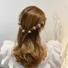 Haaraccessoires Fashionable Fresh Simple Transparant Flower Claw Clip voor dames krab haarclip mini schattige accessoires gevlochten haar kralen d240513