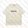 EssentialSclothing Designer T Shirts 2024 Fashion Streetwear Mens masculinos Tops EssentShirt Short Sett Unisex Sports Algodão curta de manga curta 879