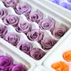 21 pièces / boîte B-grade éternel hydratant rose de rose décoration de fête bricolage de la fête de la Saint-Valentin