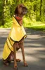 Beepaw Réflexion PET Dog Raincoat grand élégant coffre-fort Moyen Big Big Dog Clothes étanche Mabet Golden Retriever Labrador 20114602213