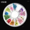 Adesivos de janela 18pcs/roda 3d Flor seca Decoração de unhas Blossom Daisy Flor Floral Slider Sticker Summer Manicure Tools