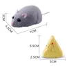 Simülasyon Kızılötesi Elektrik Şakaları Uzaktan Kumanda Fare Modeli RC Hayvanlar Kedi Oyuncakları için Radyoda Çocuk Hediyesi 240511