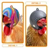 Dog Apparel 4 Pcs Motorcycle Helments Mini Protection Funny Chicken Miniature Parrot Safety Plastic Pet Bird Headwear