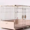 Transportadoras de gatos pré -fabricação de gatinho de casa suprimentos de gaiola caixa de areia de cama de torre portátil transportar para gatos pet pet