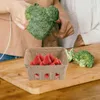 Becher Gemüse Obst Tablett Erdbeerhalter Korb praktische Körbe Küchenbehälter Keeper