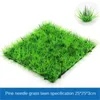 Fiori decorativi Box Moss Microlandscape Aria - Accessori immortali essiccati Pot Aquarium Piante da parete da interno Decorazione