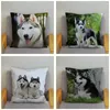 Cuscino adorabile custodia per cani husky siberian decorazione per la casa cuscini per animali per divani super morbido peluche corto 45 45 cm