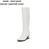 Boots Sky Blue High Heel Knee-High Riding Boot Slip-On Ladies Black Brown Shoes Hiver 32-43 Chic