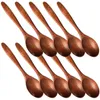 Coffee Scoops 10 PCS PROCHEMENT DE CUIE