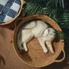 Cat Lits meubles chat gogg lit rattan quatre saisons lit chat lit d'été cool nid fournit des animaux de compagnie de chat de la queue de chat ne nid cama de mimbre para mascotte