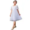 Mädchenkleider 2024 Spring Girls Mesh Casual Kleid 3-10 Jahre alte Mädchen modisch und süße Kleid dünne Gaze Big Bow Girl Kleid Y240514