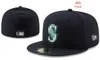 Newest 32 Colors Men's Baseball Fitted Caps Brown Black Color All Teams Sport 2024 World Patched Full Closed Fitted hats stitched Letters U-1