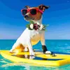 Ювелирные изделия для собак маленькие собаки пляжные домашние животные венок цветок для домашних животных вечеринка гирлянда декор приморский приморский курорт