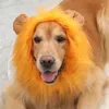 Hundkläder Halloween Lion Mane Wig Hat For Dogs and Cat Small Plear Pet Decor Accessories Fancy Hair Cap Supplies
