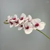Fiori decorativi farfalla artificiale orchidea silicone floreale in cotone 3d stampa 3d finta fiore verde piante decorazione di decorazione rosa rosa