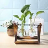 Vasi Frame di vetro Vaso Tabletop Terrario idroponico pianta bonsai bonsante decorazione per la casa