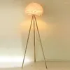 Lampadaire nordique créativité trépied plume lampe de chambre à coucher salon de chambre à coucher décoration intérieure d'éclairage intérieur