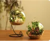 Architecture / DIY MAISON DIY Small Glass Ball Doll House Toys for Childre