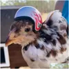 Small Animal Supplies 1Pc Chicken Helmet Pet Hard Hat Bird Quail Pigeon Headgear Diy Cartoon Character Drop Delivery Home Garden Dhune