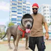 犬のアパレルペット面白い帽子安全保護子犬バイクギア装飾プラスチック腹筋犬用犬用腹筋
