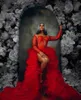 Party Dresses Amazing Red Lace Split Long Eveing Puffy Layered Tutu Tulle Formal Sexy Aso Ebi Maxi Gowns