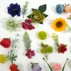 装飾的な花49pcsカラフルな人工花のヘッドミックスグリーンリーコンボDIYクラフトブーケアレンジメント壁の装飾偽の流れ