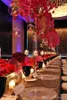 Kerzenhalter 15 cm klare hängende Glasvase Sukkulente Luft Pflanzer Terrariums Hochzeit Teelight für Wohnkultur