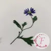 Dekorativa blommor 50stpressade torkade blå tusensköna med stjälplant växt herbarium för smycken vykort inbjudningskort telefonfodral bokmärke ljus