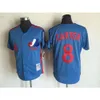 Jersey Embroidered Expos Raines Carter