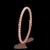 Högt lyxmärke Vanlycle -smycken designade för kvinnor armband kvinnors silver 18k rosguld med vanligt Vanley