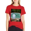 Women's Polos Him With Those Ducks..poster T-shirt Summer Tops Aesthetic Clothing Tees Western Dress For Women