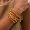 Bracelet à ressort réglable brace