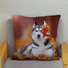 Cuscino adorabile custodia per cani husky siberian decorazione per la casa cuscini per animali per divani super morbido peluche corto 45 45 cm