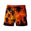 Mäns shorts 2024 Tropics Hawaii Beach Men Summer Board Casual Holiday Swim Trunks 3D Print Y2K Surf Swimsuit Homme Short Pants