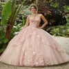 Pink Princess Quinceanera Dress Sweet 16 Ball Ball Gown 2022 Sequins equins equins beads flowers backless party vestidos de 15 dresses for Quinc 281J
